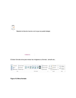 Muestra la lista de macros con la que se puede trabajar. 
El boton formato sirve para revisar las imágenes su formato , tamaño etc.. 
Figura 10. Menu formato 
 