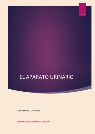 EL APARATO URINARIO
2015
CARMEN DIAZ CORONEL
 