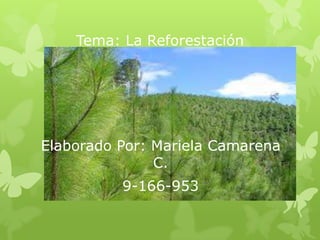 Tema: La Reforestación
Elaborado Por: Mariela Camarena
C.
9-166-953
 