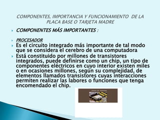  COMPONENTES MÁS IMPORTANTES :
 PROCESADOR
 Es el circuito integrado más importante de tal modo
que se considera el cerebro de una computadora
 Está constituido por millones de transistores
integrados, puede definirse como un chip, un tipo de
componentes eléctricos en cuyo interior existen miles
o en ocasiones millones, según su complejidad, de
elementos llamados transistores cuyas interacciones
permiten realizar las labores o funciones que tenga
encomendado el chip.
 