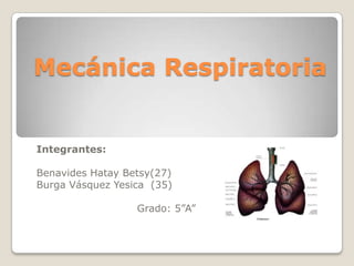 Mecánica Respiratoria


Integrantes:

Benavides Hatay Betsy(27)
Burga Vásquez Yesica (35)

                  Grado: 5”A”
 