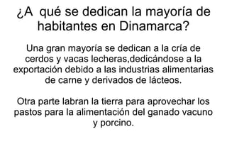 ¿A qué se dedican la mayoría de
habitantes en Dinamarca?
Una gran mayoría se dedican a la cría de
cerdos y vacas lecheras,dedicándose a la
exportación debido a las industrias alimentarias
de carne y derivados de lácteos.
Otra parte labran la tierra para aprovechar los
pastos para la alimentación del ganado vacuno
y porcino.
 