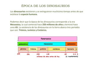 ÉPOCA DE LOS DINOSAURIOS
Los dinosaurios existieron y se extinguieron muchísimo tiempo antes de que
existiese la especie humana.
Podemos decir que la época de los dinosaurios corresponde a la era
Mesozoica, la cual comenzó hace 250 millones de años y terminó hace
unos 65. La existencia de los dinosaurios en la tierra abarca tres períodos
que son: Triásico, Jurásico y Cretácico.
 