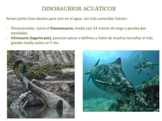 DINOSAURIOS ACUÁTICOS
Tenían pieles lisas ideales para vivir en el agua. Los más conocidos fueron:
- Plesiosáuridos como el Elasmosaurio, medía casi 14 metros de largo y pesaba dos
toneladas.
- Ictiosaurio (lagarto pez): parecían peces o delfines y había de muchos tamaños el más
grande medía como un T-rex.
 