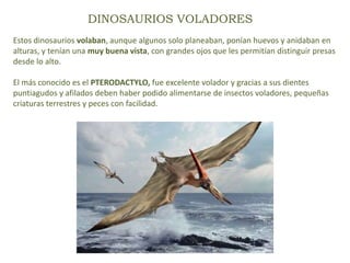 DINOSAURIOS VOLADORES
Estos dinosaurios volaban, aunque algunos solo planeaban, ponían huevos y anidaban en
alturas, y tenían una muy buena vista, con grandes ojos que les permitían distinguir presas
desde lo alto.
El más conocido es el PTERODACTYLO, fue excelente volador y gracias a sus dientes
puntiagudos y afilados deben haber podido alimentarse de insectos voladores, pequeñas
criaturas terrestres y peces con facilidad.
 