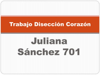Juliana
Sánchez 701
Trabajo Disección Corazón
 