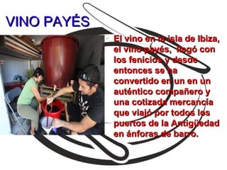 VINO PAYÉS
                El vino en la isla de Ibiza,
                 el vino payés, llegó con
                 los fenicios y desde
                 entonces se ha
                 convertido en un en un
                 auténtico compañero y
                 una cotizada mercancía
                 que viajó por todos los
                 puertos de la Antigüedad
                 en ánforas de barro.
 
