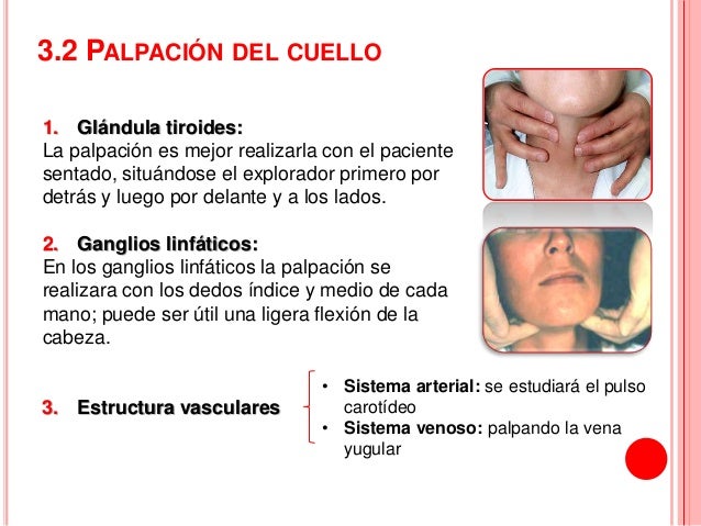 Los preparados para el tratamiento spondileza sheynogo del departamento de la columna vertebral