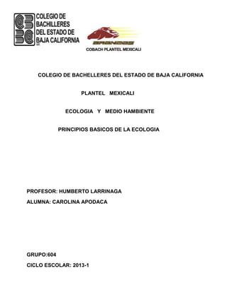 COLEGIO DE BACHELLERES DEL ESTADO DE BAJA CALIFORNIA


                   PLANTEL MEXICALI


              ECOLOGIA Y MEDIO HAMBIENTE


            PRINCIPIOS BASICOS DE LA ECOLOGIA




PROFESOR: HUMBERTO LARRINAGA

ALUMNA: CAROLINA APODACA




GRUPO:604

CICLO ESCOLAR: 2013-1
 
