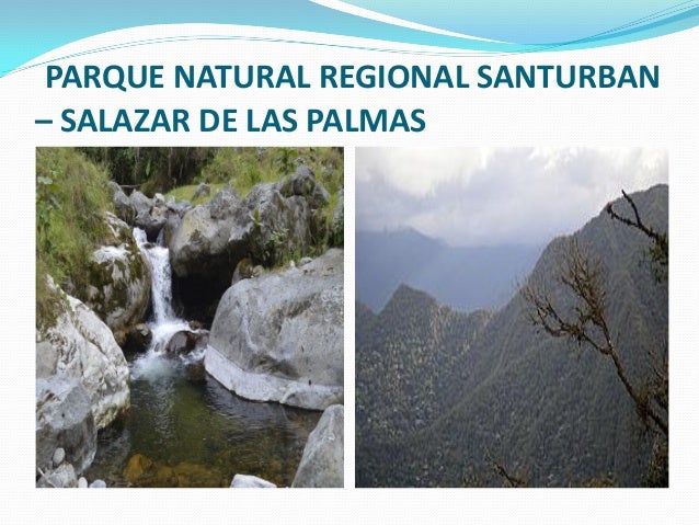 Resultado de imagen para imagenes del parque de salazar de las palmas