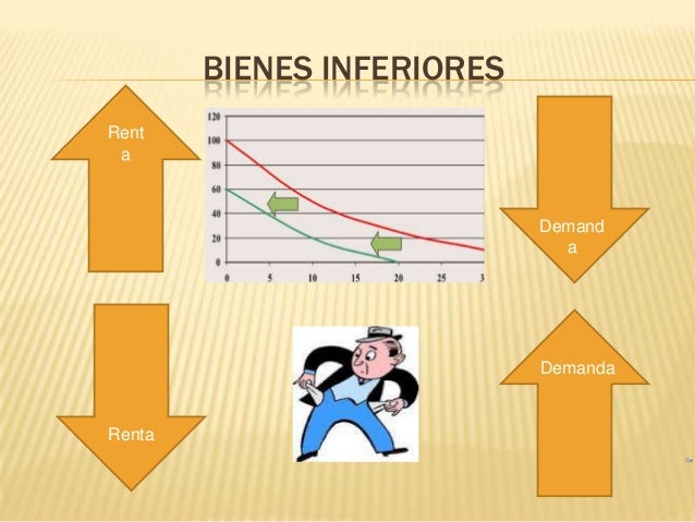 TIPOS DE BIENES