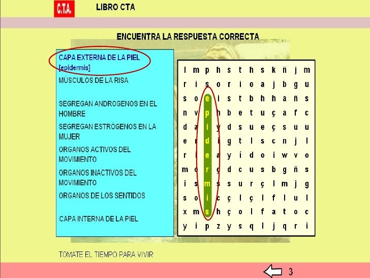 Imagen relacionada