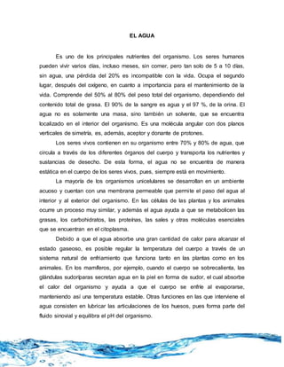 EL AGUA
Es uno de los principales nutrientes del organismo. Los seres humanos
pueden vivir varios días, incluso meses, sin comer, pero tan solo de 5 a 10 días,
sin agua, una pérdida del 20% es incompatible con la vida. Ocupa el segundo
lugar, después del oxígeno, en cuanto a importancia para el mantenimiento de la
vida. Comprende del 50% al 80% del peso total del organismo, dependiendo del
contenido total de grasa. El 90% de la sangre es agua y el 97 %, de la orina. El
agua no es solamente una masa, sino también un solvente, que se encuentra
localizado en el interior del organismo. Es una molécula angular con dos planos
verticales de simetría, es, además, aceptor y donante de protones.
Los seres vivos contienen en su organismo entre 70% y 80% de agua, que
circula a través de los diferentes órganos del cuerpo y transporta los nutrientes y
sustancias de desecho. De esta forma, el agua no se encuentra de manera
estática en el cuerpo de los seres vivos, pues, siempre está en movimiento.
La mayoría de los organismos unicelulares se desarrollan en un ambiente
acuoso y cuentan con una membrana permeable que permite el paso del agua al
interior y al exterior del organismo. En las células de las plantas y los animales
ocurre un proceso muy similar, y además el agua ayuda a que se metabolicen las
grasas, los carbohidratos, las proteínas, las sales y otras moléculas esenciales
que se encuentran en el citoplasma.
Debido a que el agua absorbe una gran cantidad de calor para alcanzar el
estado gaseoso, es posible regular la temperatura del cuerpo a través de un
sistema natural de enfriamiento que funciona tanto en las plantas como en los
animales. En los mamíferos, por ejemplo, cuando el cuerpo se sobrecalienta, las
glándulas sudoríparas secretan agua en la piel en forma de sudor, el cual absorbe
el calor del organismo y ayuda a que el cuerpo se enfríe al evaporarse,
manteniendo así una temperatura estable. Otras funciones en las que interviene el
agua consisten en lubricar las articulaciones de los huesos, pues forma parte del
fluido sinovial y equilibra el pH del organismo.
 