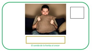 El sonido de la hierba al crecer