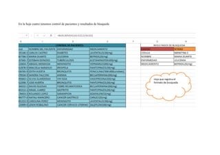 En la hoja cuatro tenemos control de pacientes y resultados de búsqueda
 