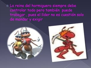 La reina del hormiguero siempre debe controlar todo pero también  puede trabajar , pues el líder no es cuestión solo de mandar y exigir