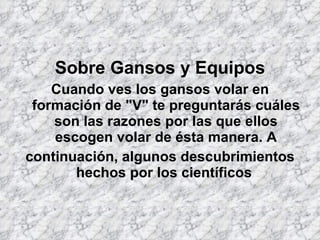 Sobre Gansos y Equipos Cuando ves los gansos volar en formación de "V" te preguntarás cuáles son las razones por las que ellos escogen volar de ésta manera. A continuación, algunos descubrimientos hechos por los científicos   