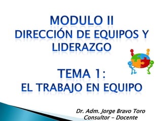 Dr. Adm. Jorge Bravo Toro
   Consultor - Docente
 