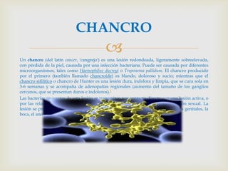 CHANCRO
                                            
Un chancro (del latín cancer, 'cangrejo') es una lesión redondeada, ligeramente sobreelevada,
con pérdida de la piel, causada por una infección bacteriana. Puede ser causada por diferentes
microorganismos, tales como Haemophilus ducreyi o Treponema pallidum. El chancro producido
por el primero (también llamado chancroide) es blando, doloroso y sucio; mientras que el
chancro sifilítico o chancro de Hunter es una lesión dura, indolora y limpia, que se cura sola en
3-6 semanas y se acompaña de adenopatías regionales (aumento del tamaño de los ganglios
cercanos, que se presentan duros e indoloros).1
Las bacterias causantes de esta lesión se transmiten por contacto directo con una lesión activa, o
por las relaciones sexuales, por lo que se consideran enfermedades de transmisión sexual. La
lesión se presenta en el sitio de ingreso de la bacteria, que pueden ser los órganos genitales, la
boca, el ano, etc.
 
