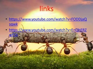 links
• https://www.youtube.com/watch?v=FODDjaQ
sqwk
• https://www.youtube.com/watch?v=EnQhERZ
wF5k
 