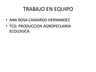 TRABAJO EN EQUIPO
• ANA ROSA CAMARGO HERNANDEZ
• TCG: PRODUCCION AGROPECUARIA
ECOLOGICA
 