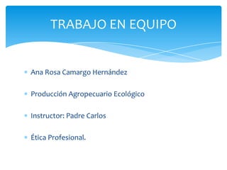 Ana Rosa Camargo Hernández
Producción Agropecuario Ecológico
Instructor: Padre Carlos
Ética Profesional.
TRABAJO EN EQUIPO
 
