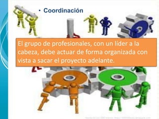 • Coordinación 
El grupo de profesionales, con un líder a la 
cabeza, debe actuar de forma organizada con 
vista a sacar el proyecto adelante. 
 