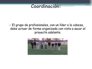 Coordinación:
• El grupo de profesionales, con un líder a la cabeza,
debe actuar de forma organizada con vista a sacar el
proyecto adelante.
 
