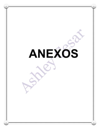 ANEXOS
 