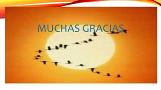 MUCHAS GRACIAS
 