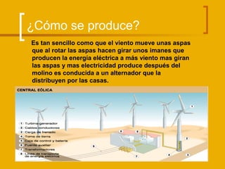 ¿Cómo se produce?
Es tan sencillo como que el viento mueve unas aspas
que al rotar las aspas hacen girar unos imanes que
producen la energía eléctrica a más viento mas giran
las aspas y mas electricidad produce después del
molino es conducida a un alternador que la
distribuyen por las casas.
 