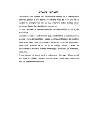 CONCLUSIONES
Los microscopios poseen una importancia enorme en la investigación
científica, gracias a ellos hemos descubierto miles de cosas que no se
pueden ver a simple vista pero es muy importante saber de ellas como:
las células, las amibas, los átomos entre otros.
En este caso hemos visto los diferentes microorganismos en las aguas
estancadas.
Los microscopios son instrumentos que permiten tanto la observación del
aspecto y forma de las células y tejidos como la cuantificación de variables
observadas, tales como dimensiones, diámetros, longitudes, cantidades,
entre otras. Además de su uso en la biología, tienen un sinfín de
aplicaciones en medicina forense, mineralogía, ciencia de los materiales,
entre otras.
El microscopio ha sido y será el instrumento de mayor utilidad en el
estudio de las células y tejidos, en este trabajo hemos aprendido sobre
todo las partes del microscopio.
 