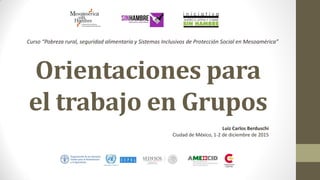 Orientaciones para
el trabajo en Grupos
Luiz Carlos Berduschi
Ciudad de México, 1-2 de diciembre de 2015
Curso “Pobreza rural, seguridad alimentaria y Sistemas Inclusivos de Protección Social en Mesoamérica”
 