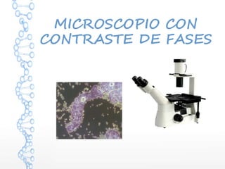 MICROSCOPIO CON
CONTRASTE DE FASES
 