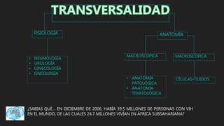 ¿SABIAS QUÉ… EN DICIEMBRE DE 2006, HABÍA 39,5 MILLONES DE PERSONAS CON VIH
EN EL MUNDO, DE LAS CUALES 24,7 MILLONES VIVÍAN EN ÁFRICA SUBSAHARIANA?
ANATOMÍAFISIOLOGÍA
MACROSCÓPICAMACROSCÓPICA
• ANATOMÍA
PATOLÓGICA
• ANATOMÍA
TERATOLÓGICA
CÉLULAS-TEJIDOS
• NEUMOLOGÍA
• UROLOGÍA
• GINECOLOGÍA
• ONCOLOGÍA
 