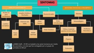 ASPECTOS ANATÓMICOS ANATOMÍA PATOLÓGICA DESCRIPTIVA
Pérdida de
peso
involuntaria
Cambios
de hábitos
Ganglios linfáticos
hinchados
Deterioro del
habla
Visión
borrosa
Visión
doble
Sistemas
Utiliza el material
genético de las células
Problemas
Neuroílicos
Vulnerable
Órganos.
Inmunológico.
Exceso de sudor.
Dolor
huesos
Dolor
circulaciones
Dolor Toraxico.
SINTOMAS
¿SABIAS QUÉ… El VIH se trasladó a los seres humanos por medio
de zoonosis y se cree que fue contagiado por un grupo de
primates en África?
 