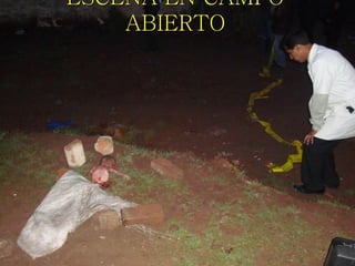 ESCENA EN CAMPO
    ABIERTO
 