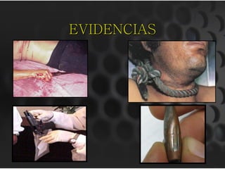 EVIDENCIAS
 