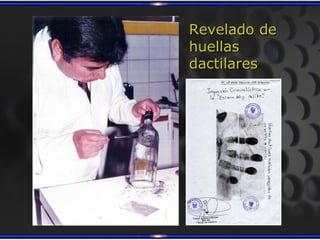 Revelado de
huellas
dactilares
 