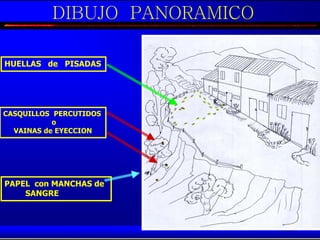 DIBUJO PANORAMICO

HUELLAS de PISADAS




CASQUILLOS PERCUTIDOS
           o
  VAINAS de EYECCION




PAPEL con MANCHAS de
    SANGRE
 