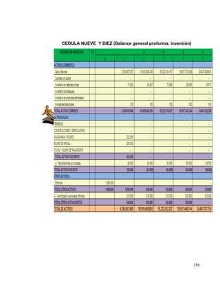 CEDULA NUEVE Y DIEZ (Balance general proforma: inversión)




                                                            156
 
