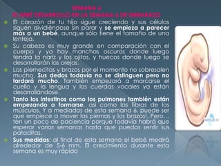 SEMANA 6
EL BEBÉ DESARROLLO EN LA SEMANA 6 DE EMBARAZO
 El corazón de tu hijo sigue creciendo y sus células
siguen dividiéndose sin parar y se empieza a parecer
más a un bebé, aunque sólo tiene el tamaño de una
lenteja.
 Su cabeza es muy grande en comparación con el
cuerpo y ya hay manchas oscuras donde luego
tendrá la nariz y los ojitos, y huecos donde luego se
desarrollarán las orejas.
 Las piernecitas y brazos por el momento no sobresalen
mucho. Sus dedos todavía no se distinguen pero no
tardará mucho. También empezará a marcarse el
cuello y la lengua y las cuerdas vocales ya están
desarrollándose.
 Tanto los intestinos como los pulmones también están
empezando a formarse, así como las fibras de los
músculos. Y a mediados de esta semana 6, puede ser
que empiece a mover las piernas y los brazos!. Pero…
ten un poco de paciencia porque todavía habrá que
esperar varias semanas hasta que puedas sentir sus
pataditas.
 Sus medidas: al final de esta semana el bebé medirá
alrededor de 5-6 mm. El crecimiento durante esta
semana es muy rápido
 