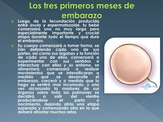  Luego de la fecundación producida
entre ovulo y espermatozoide, tu bebé
comenzará una no muy larga pero
especialmente importante y crucial
etapa durante todo el tiempo que dure
el embarazo.
 Su cuerpo comenzará a tomar forma, se
irán definiendo cada una de sus
partes, así como sus órganos y la función
de cada uno de ellos, comenzará a
experimentar con sus sentidos e
interactuar con ellos y su entorno, se
alimentará, comenzará a realizar
movimientos que se intensificaran a
medida que se desarrolle el
embarazo, crecerá y a medida que lo
haga se sentirá mas incomodo, y una
vez alcanzada la madurez de sus
órganos sobre todo los pulmones se
decidirá a salir del vientre
produciéndose el parto o
nacimiento, dejando atrás una etapa
superada y comenzando otra en la que
deberá afrontar muchos retos.
 