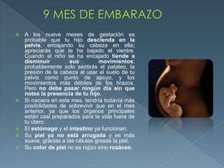  A los nueve meses de gestación es
probable que tu hijo descienda en la
pelvis, encajando su cabeza en ella;
apreciarás que te ha bajado el vientre.
Cuando el niño se ha encajado tiende a
disminuir sus movimientos;
probablemente solo sentirás el pataleo, la
presión de la cabeza al usar el suelo de tu
pelvis como punto de apoyo, y los
movimientos más débiles de los brazos.
Pero no debe pasar ningún día sin que
notes la presencia de tu hijo.
 Si naciera en este mes, tendría todavía más
posibilidades de sobrevivir que en el mes
anterior, ya que los órganos principales
están casi preparados para la vida fuera de
tu útero.
 El estómago y el intestino ya funcionan.
 Su piel ya no está arrugada y es más
suave, gracias a las células grasas la piel.
 Su color de piel no es rojizo sino rosáceo.
 
