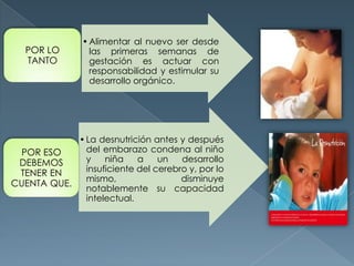 •Alimentar al nuevo ser desde
las primeras semanas de
gestación es actuar con
responsabilidad y estimular su
desarrollo orgánico.
POR LO
TANTO
•La desnutrición antes y después
del embarazo condena al niño
y niña a un desarrollo
insuficiente del cerebro y, por lo
mismo, disminuye
notablemente su capacidad
intelectual.
POR ESO
DEBEMOS
TENER EN
CUENTA QUE.
 