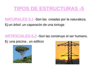 TIPOS DE ESTRUCTURAS -5
NATURALES 5.1 -Son las creadas por la naturaleza.
Ej:un árbol ,un caparazón de una tortuga
ARTIFICIALES-5.2 -Son las construye el ser humano.
Ej :una piscina , un edificio
 