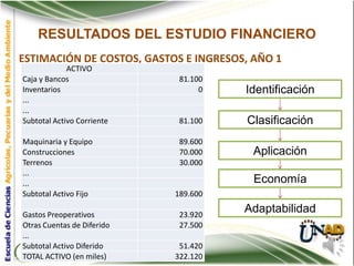 RESULTADOS DEL ESTUDIO FINANCIERO
ESTIMACIÓN DE COSTOS, GASTOS E INGRESOS, AÑO 1
             ACTIVO
Caja y Bancos                81.100
Inventarios                       0    Identificación
...
...
Subtotal Activo Corriente    81.100    Clasificación
Maquinaria y Equipo          89.600
Construcciones               70.000      Aplicación
Terrenos                     30.000
...
...                                      Economía
Subtotal Activo Fijo        189.600

Gastos Preoperativos         23.920
                                       Adaptabilidad
Otras Cuentas de Diferido    27.500
...
Subtotal Activo Diferido     51.420
TOTAL ACTIVO (en miles)     322.120
 
