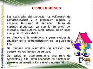 CONCLUSIONES

• Las cualidades del producto, los volúmenes de
  comercialización y la promoción regional y
  nacional, facilitarán el mercadeo interno de
  nuestros productos, ya que la demanda del
  mercado, tanto externo como interno, es en base
  a un producto de calidad.
• se direccionó la metodología para evaluar la
  situación de la comercialización de la pulpa de
  futa.
• Se propuso una alternativa de solución que
  genere nuevas fuentes de empleo.
• Se realizó un acercamiento a una serie de
  conceptos y a la forma adecuada de plantear un
  proyecto de investigación a nivel empresarial
 