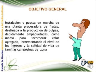 OBJETIVO GENERAL


Instalación y puesta en marcha de
una planta procesadora de frutas,
destinada a la producción de pulpas,
debidamente empaquetadas, como
medio     para    incorporar    valor
agregado, incrementando el nivel de
los ingresos y la calidad de vida de
familias campesinas de zona
 