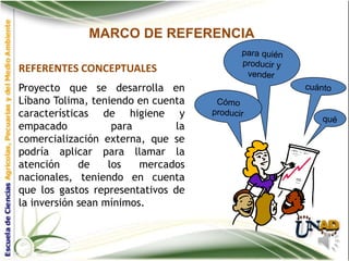 MARCO DE REFERENCIA

REFERENTES CONCEPTUALES
Proyecto que se desarrolla en
Líbano Tolima, teniendo en cuenta
características de higiene y
empacado            para       la
comercialización externa, que se
podría aplicar para llamar la
atención     de    los   mercados
nacionales, teniendo en cuenta
que los gastos representativos de
la inversión sean mínimos.
 